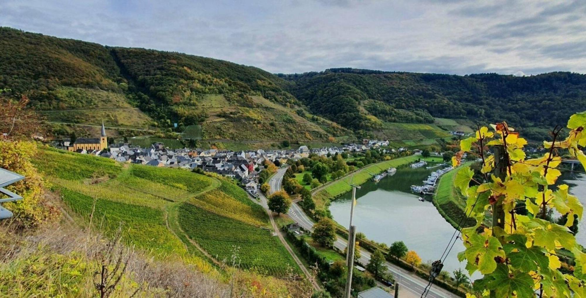 Ferienwohnung An Der Mosel, Romeo Senheim Exteriér fotografie