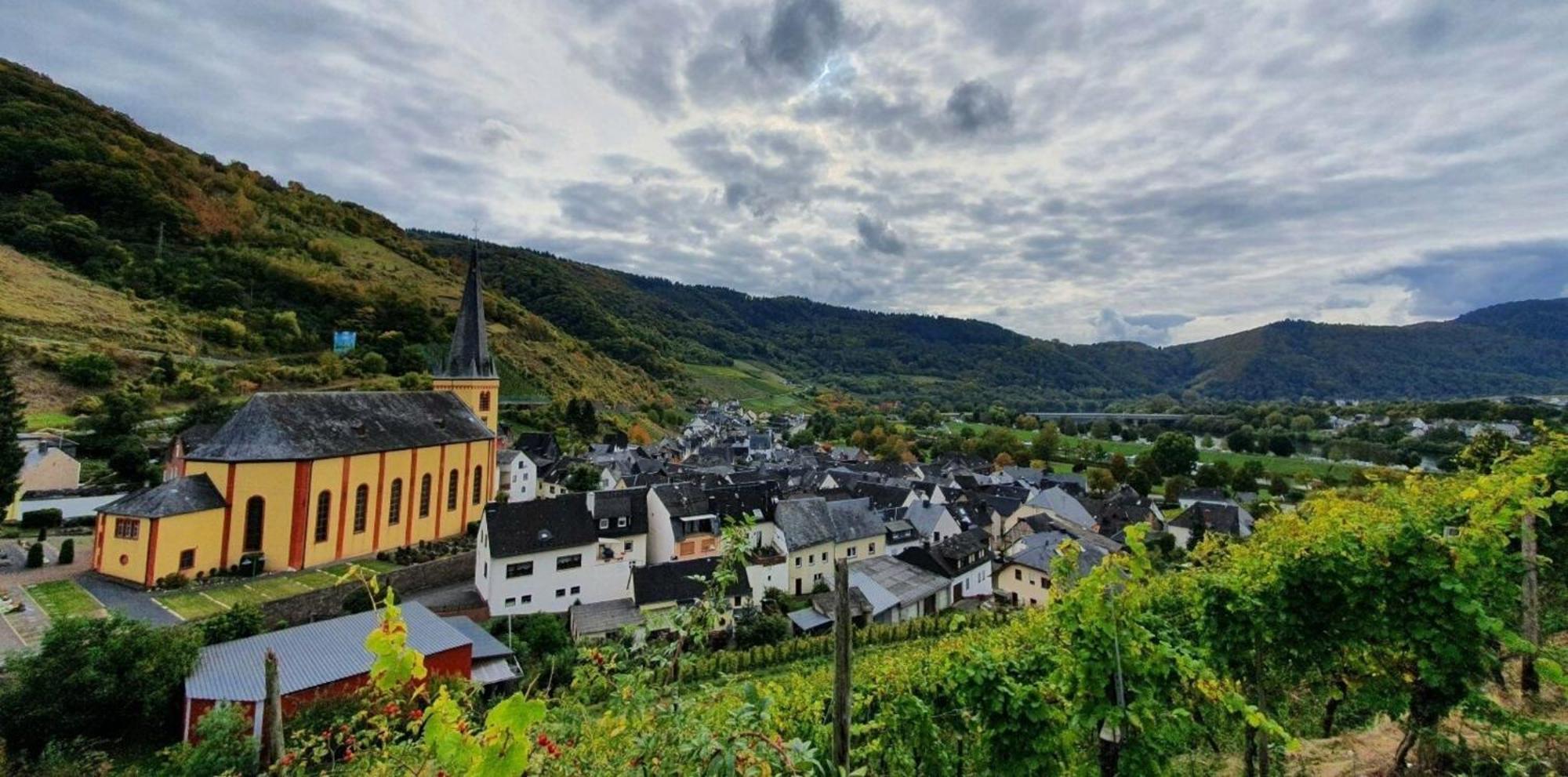 Ferienwohnung An Der Mosel, Romeo Senheim Exteriér fotografie